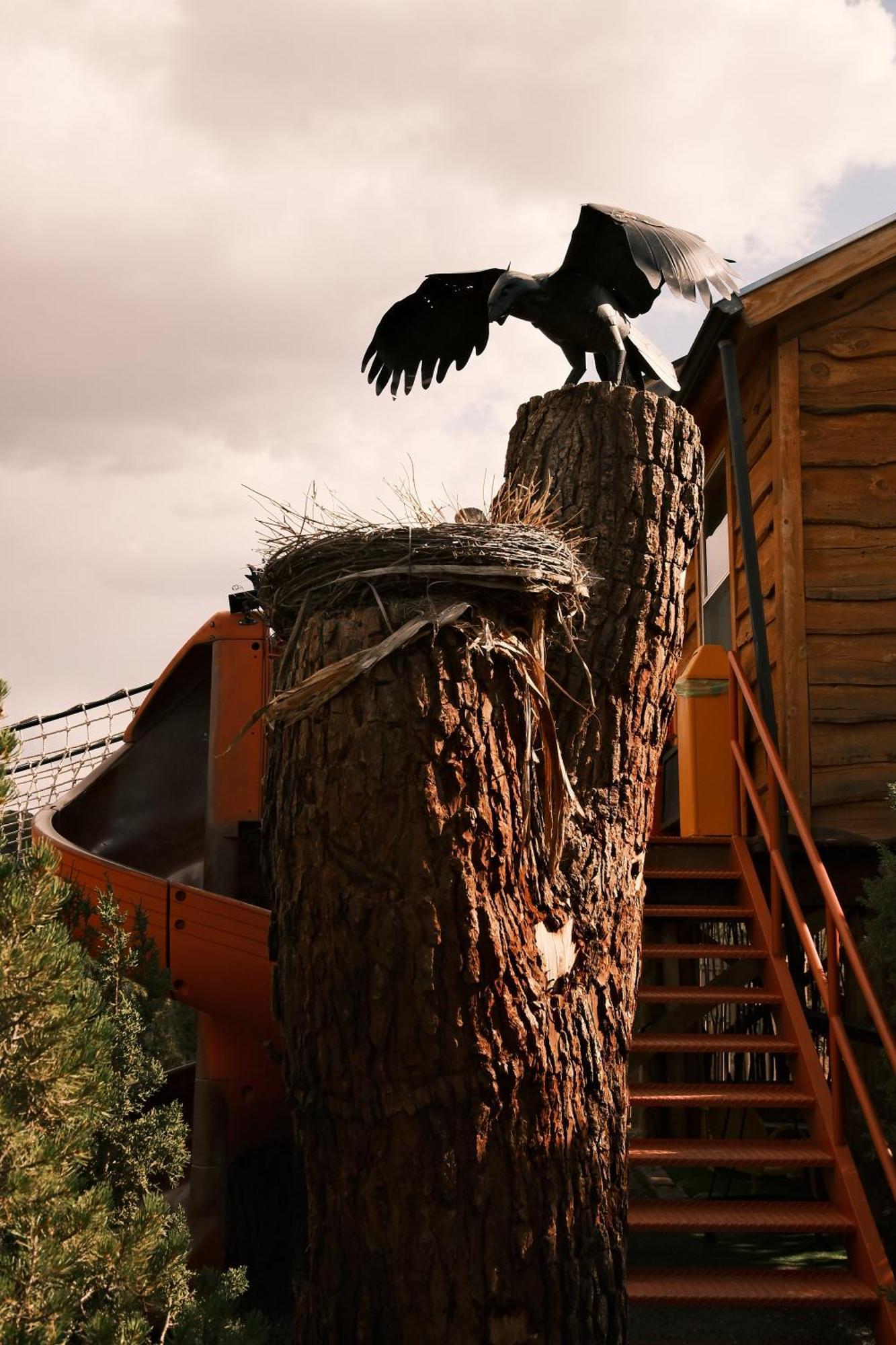 Crows Nest Treehouse At El Mstico Ranch Nogal Exterior foto