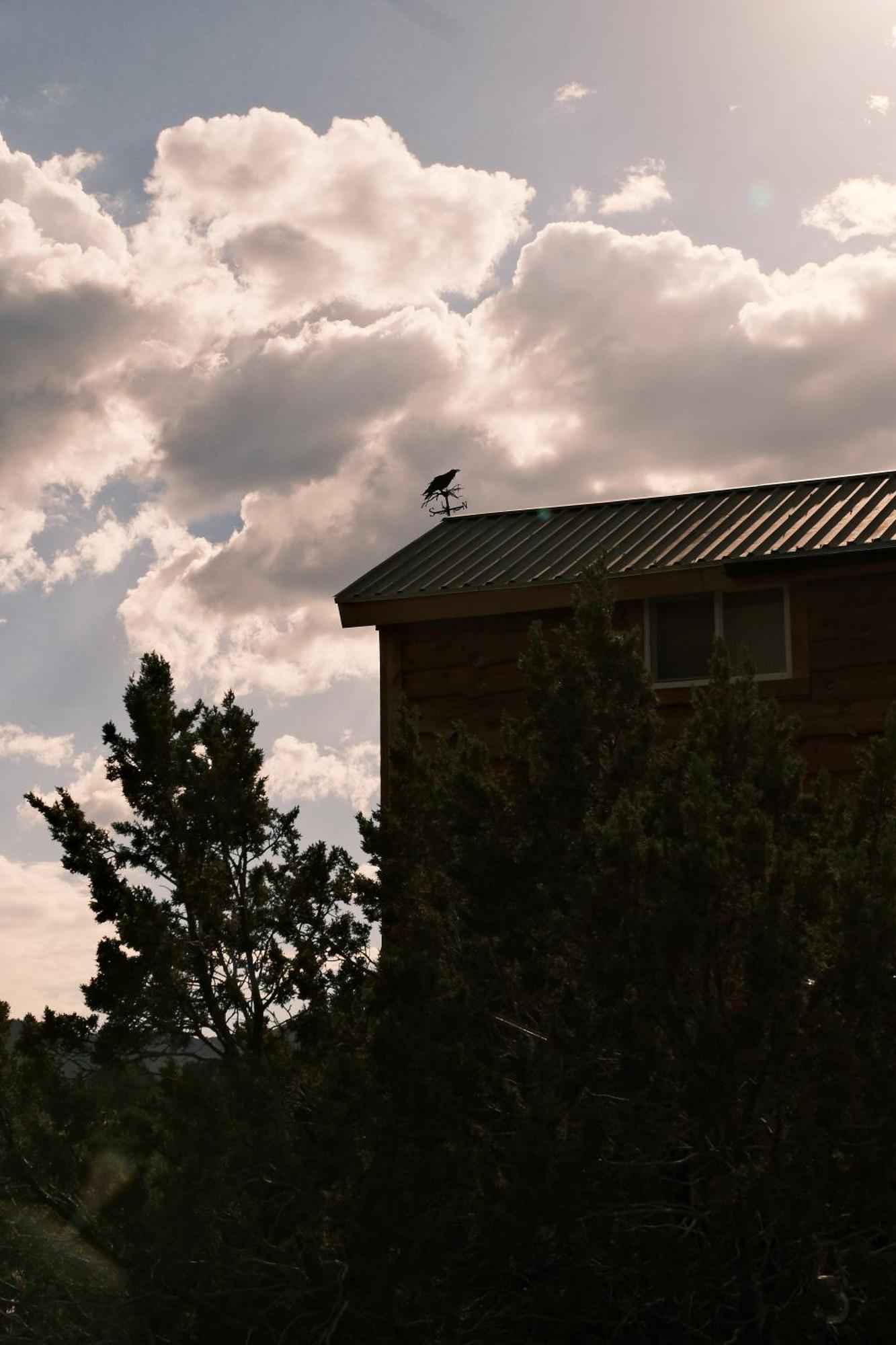 Crows Nest Treehouse At El Mstico Ranch Nogal Exterior foto