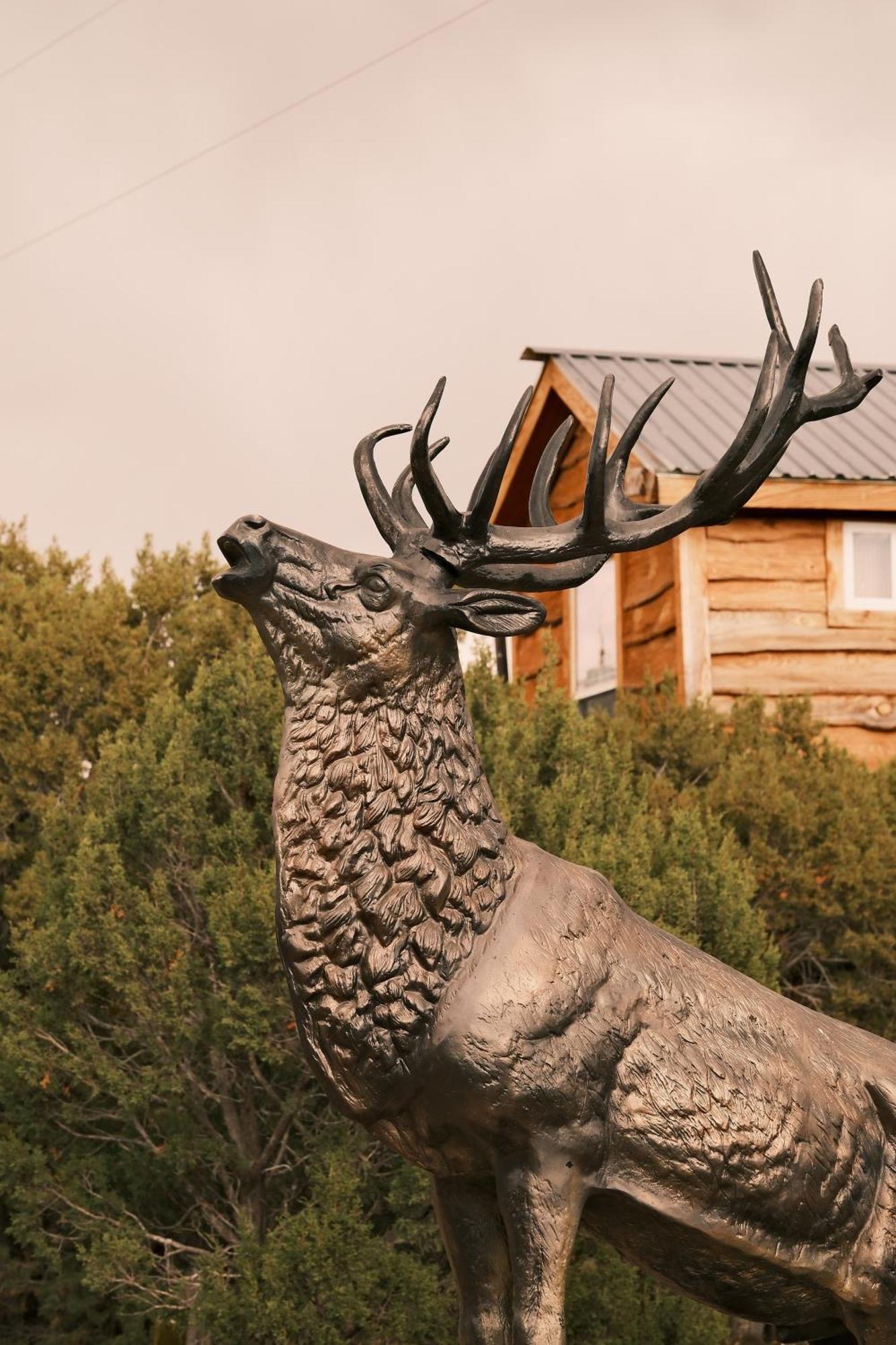 Crows Nest Treehouse At El Mstico Ranch Nogal Exterior foto